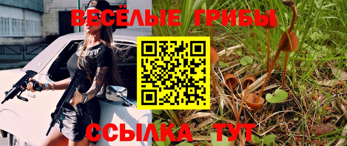 Псилоцибиновые грибы прущие грибы Сызрань
