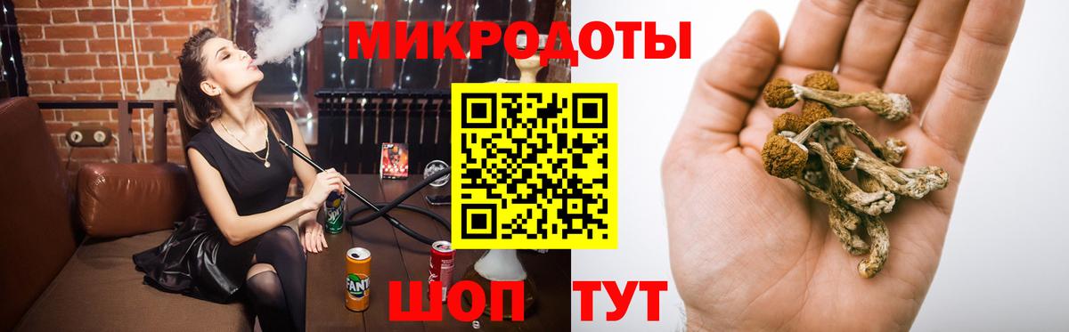 Галлюциногенные грибы GOLDEN TEACHER  Галлюциногенные грибы Psilocybe  Вход с VPN  Сызрань 